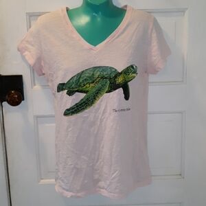Yacht Club XL sea turtle beach